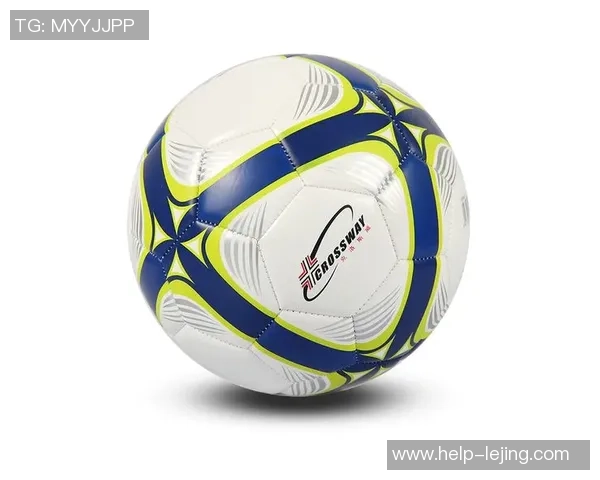 足球5号球的详细介绍与图片展示让你全面了解这款经典足球的魅力与特点